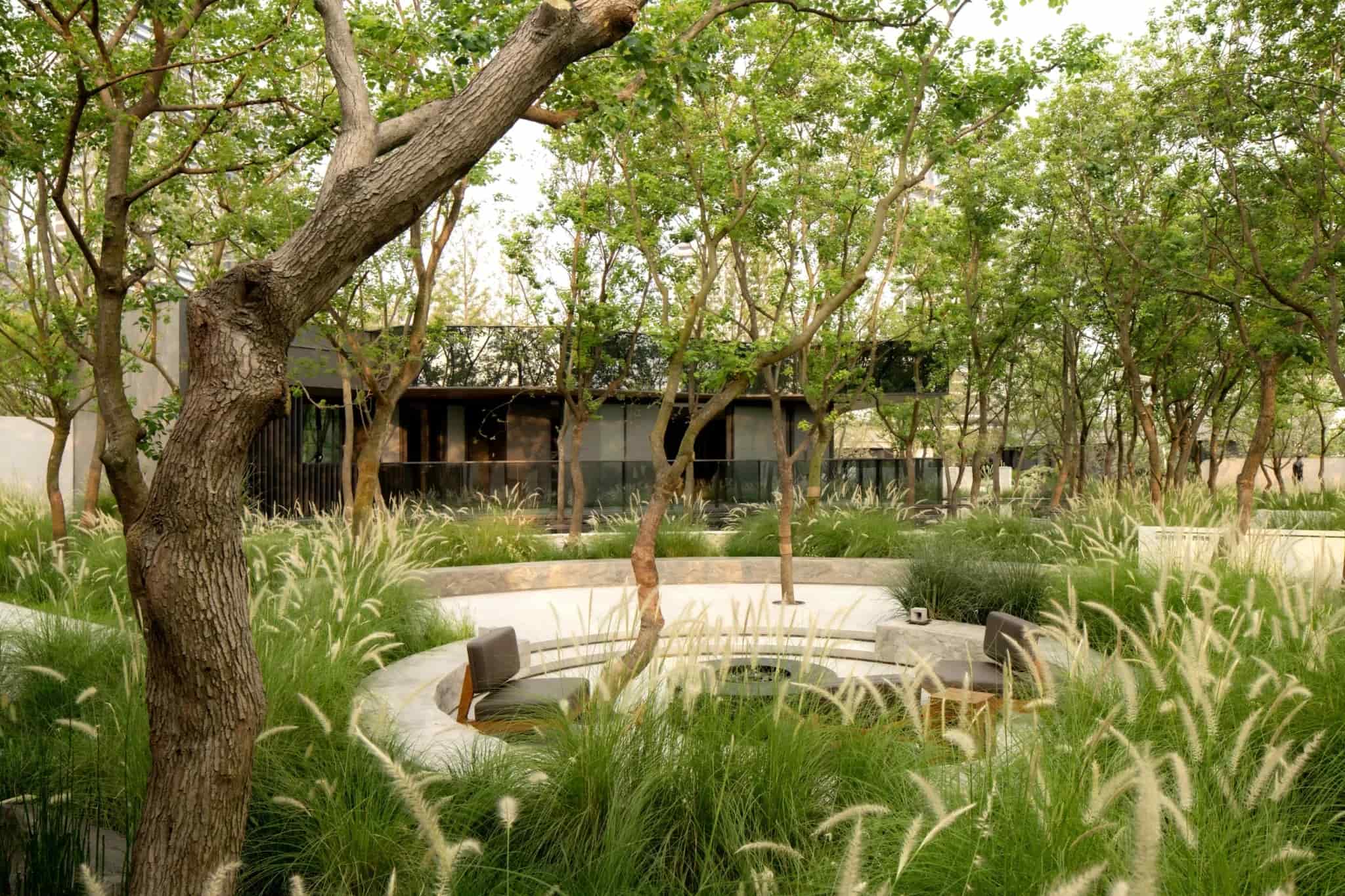 景观设计 景观设计