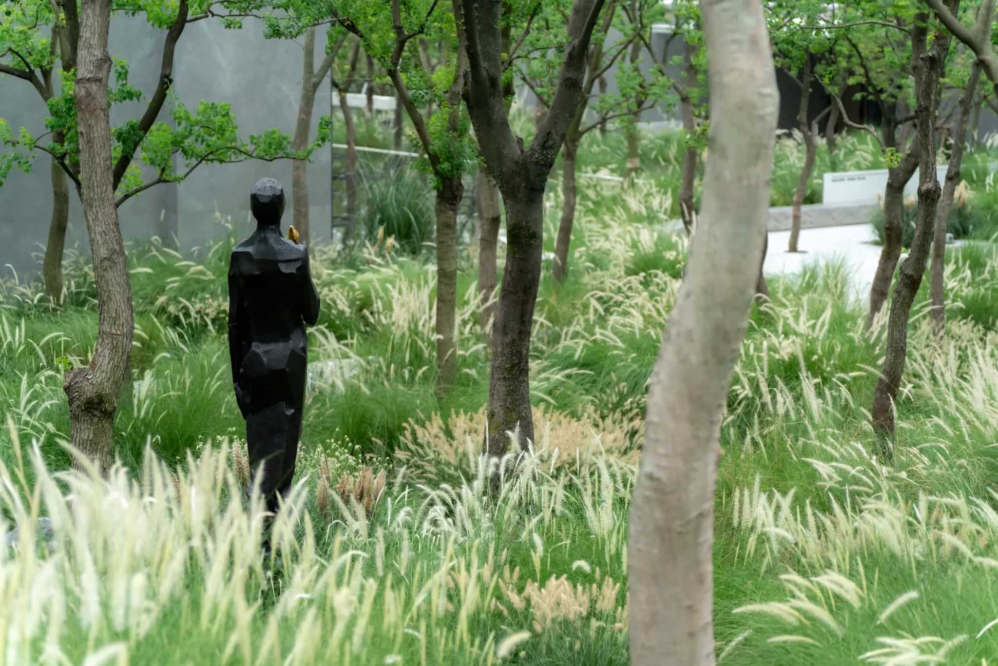 景观设计 景观设计