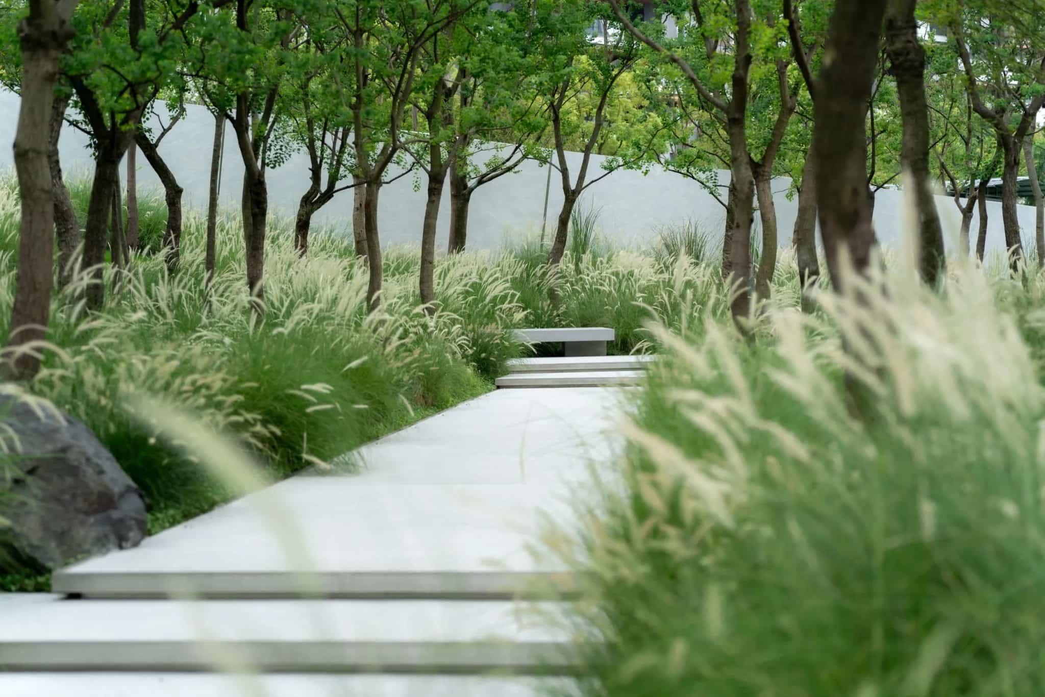 景观设计 景观设计