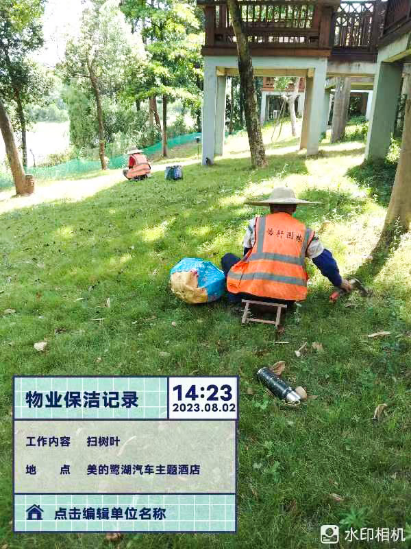 波斯菊,绿化养护 波斯菊,绿化养护