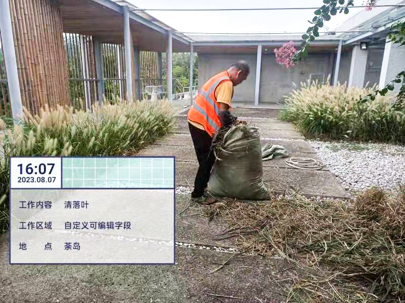 绿化养护,绿化工程