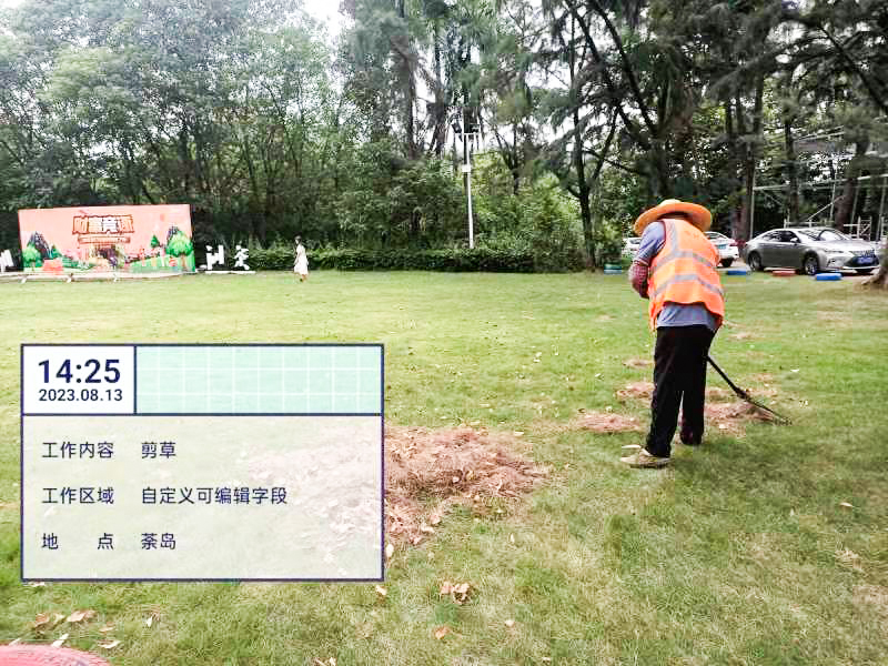 绿化养护,绿化工程