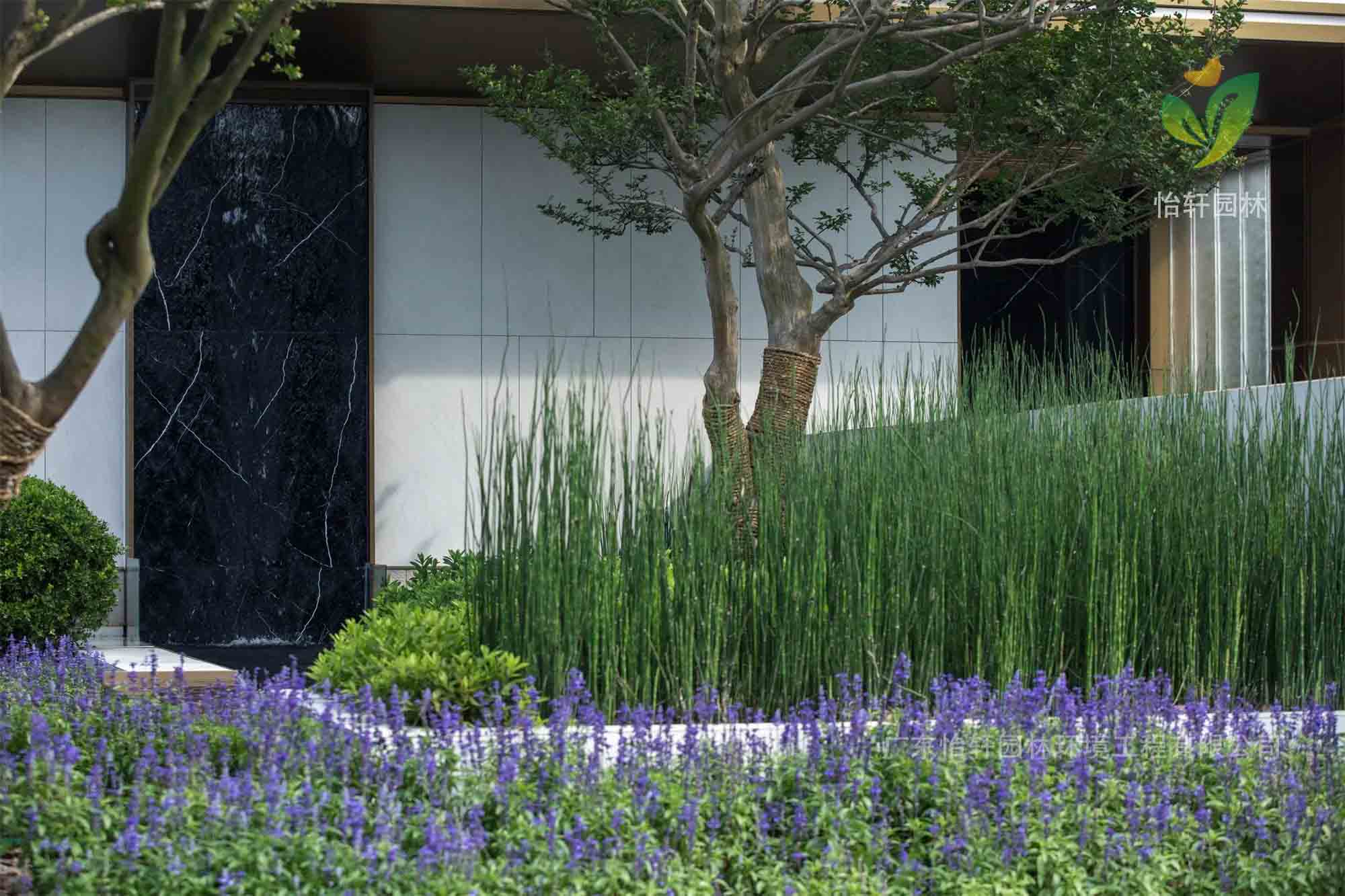 景观设计 景观设计