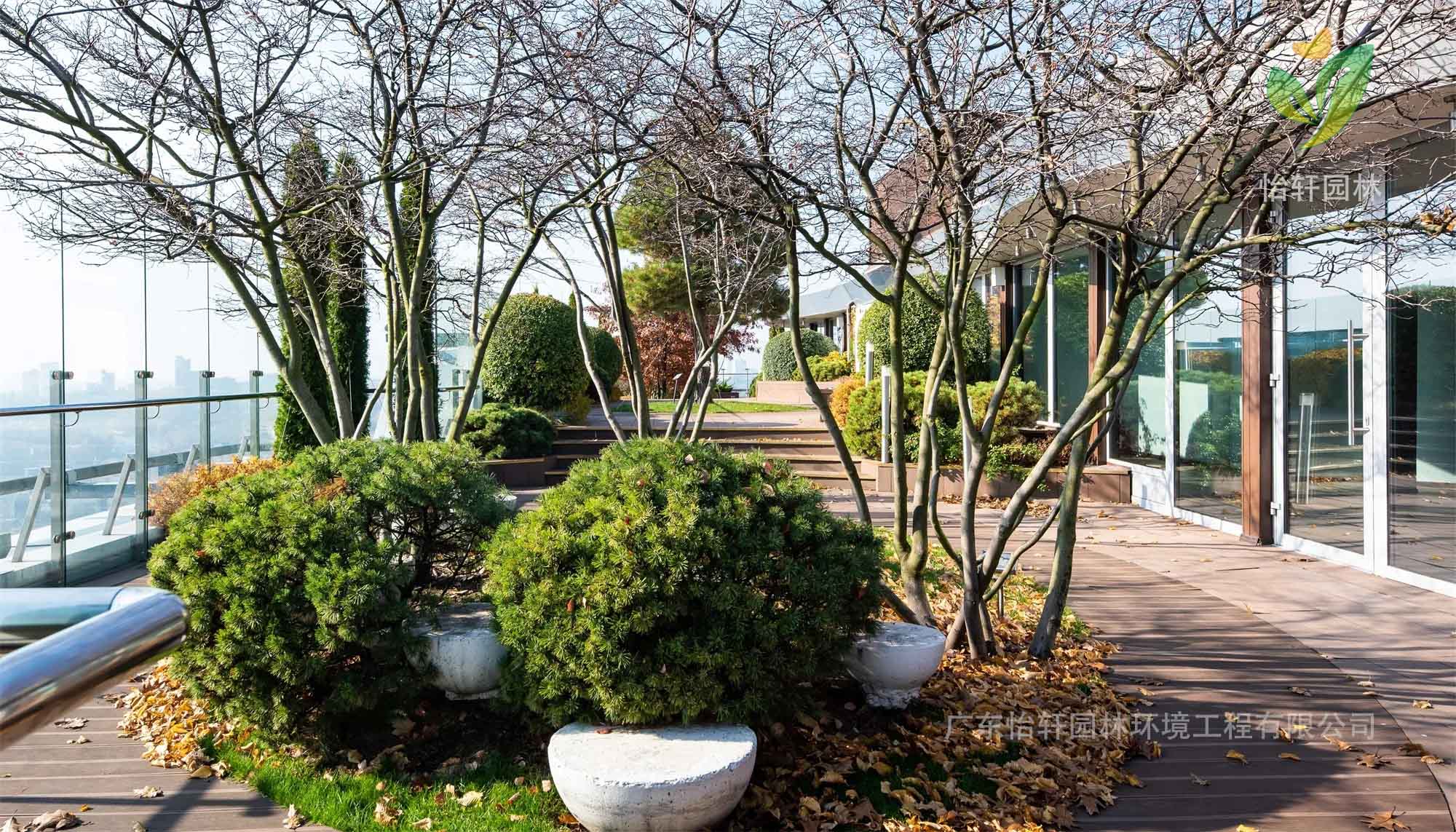 景观设计 景观设计