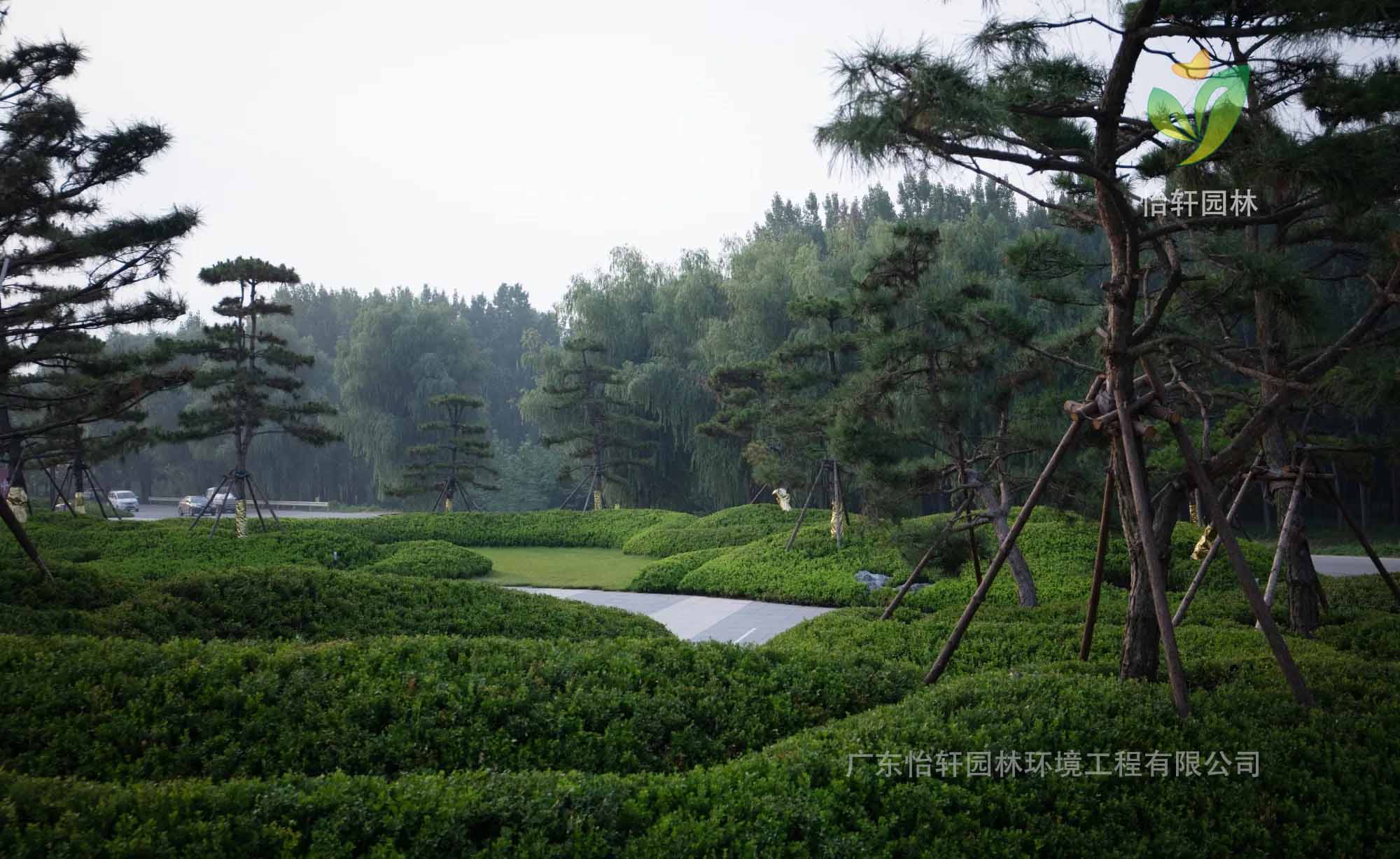 景观设计 景观设计