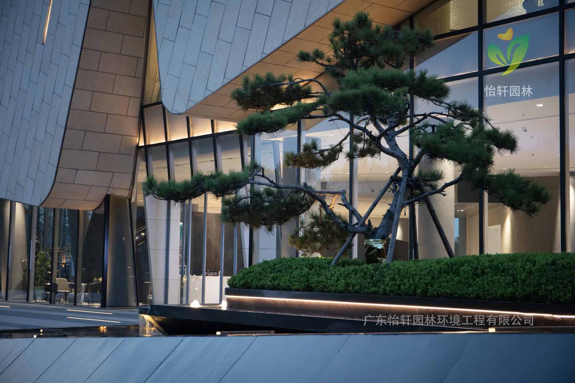 景观设计 景观设计