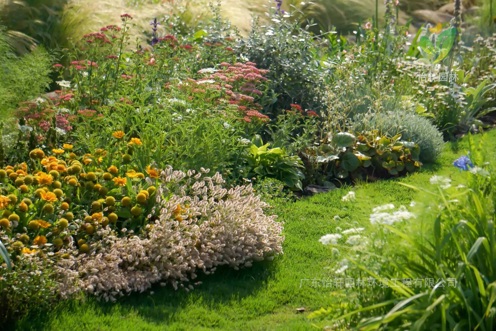 花园设计 花园设计