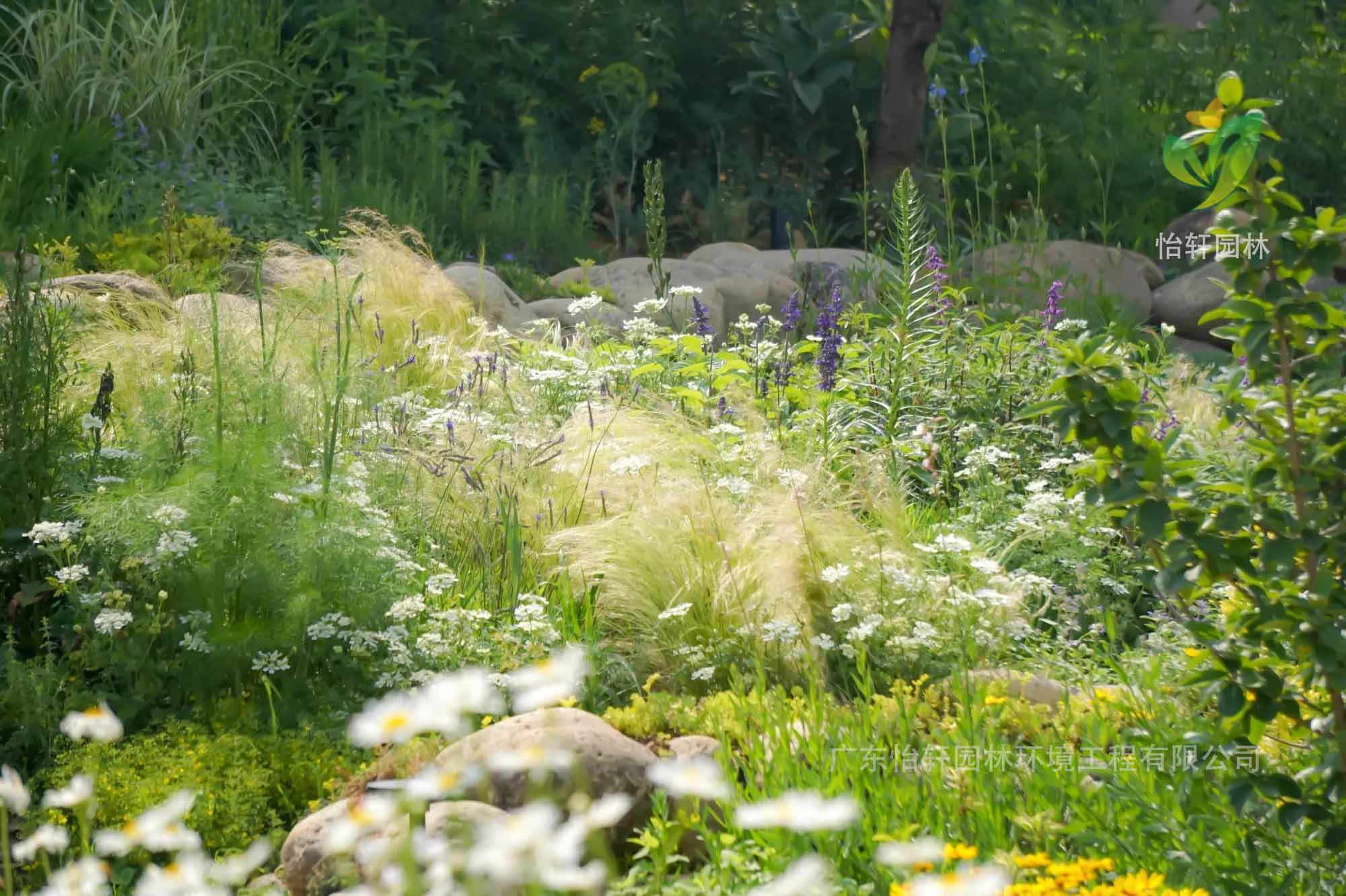 花园设计 花园设计