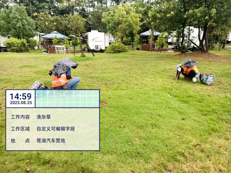 草坪,园林绿化