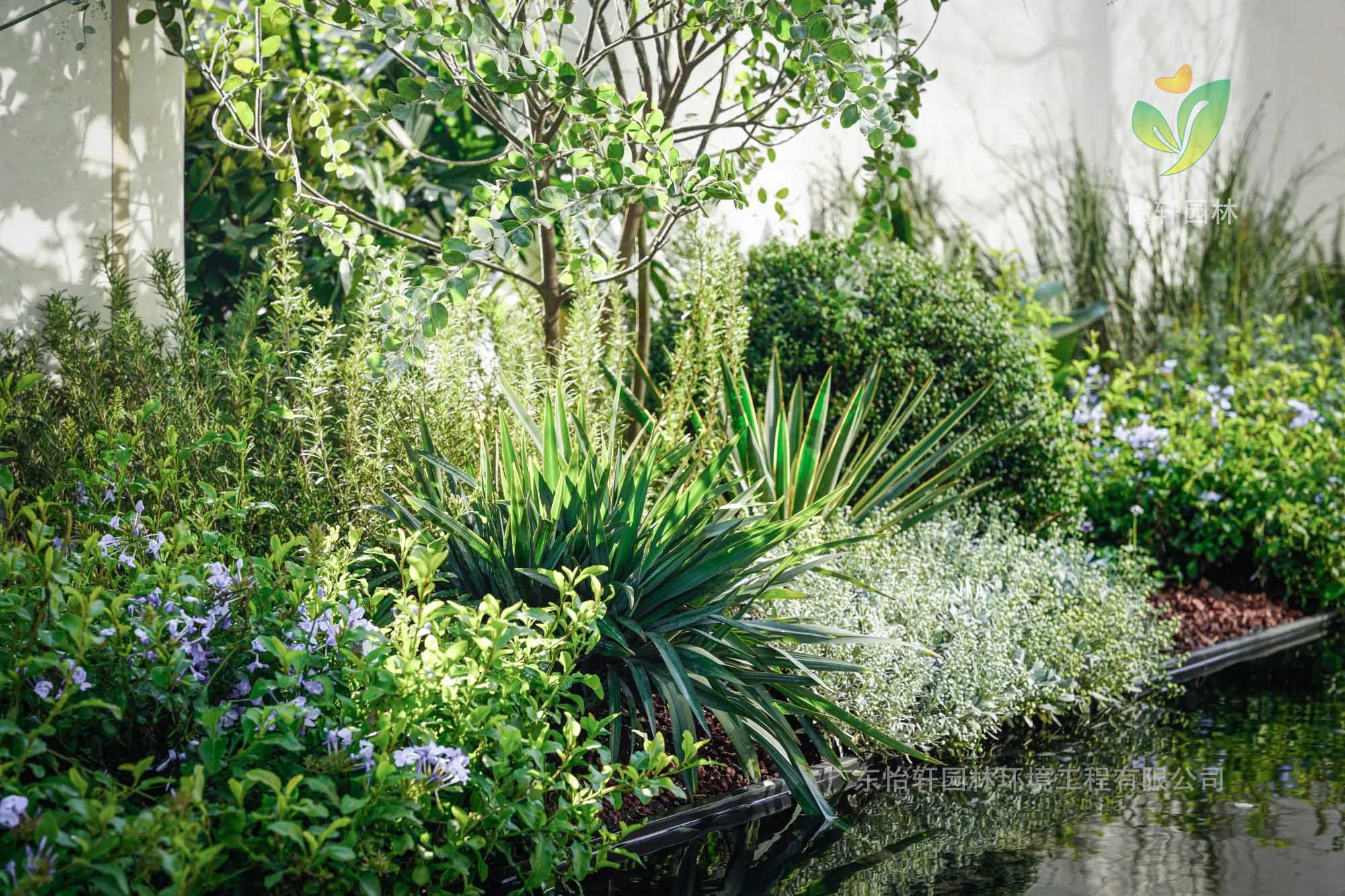 花境设计 花境设计