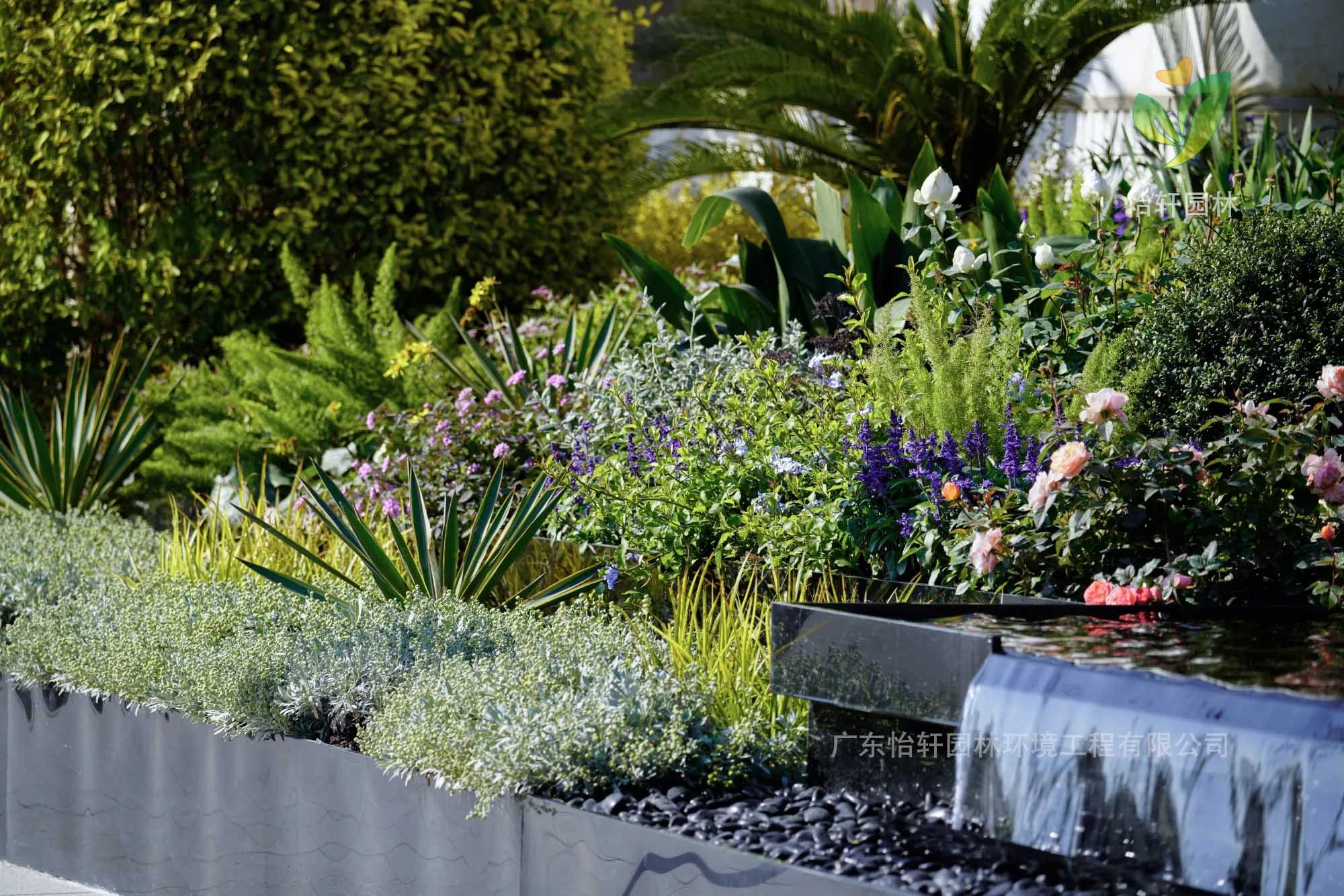 花境设计 花境设计