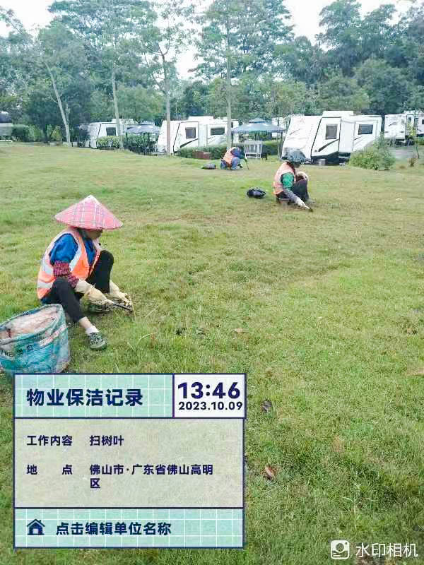 无花果,广州绿化公司