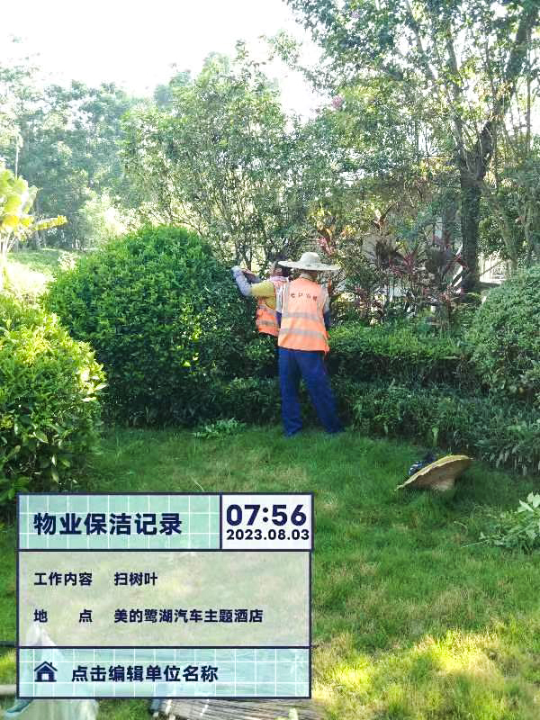 绿化养护,五彩石